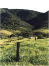 Agoura Hills.jpg (163438 bytes)