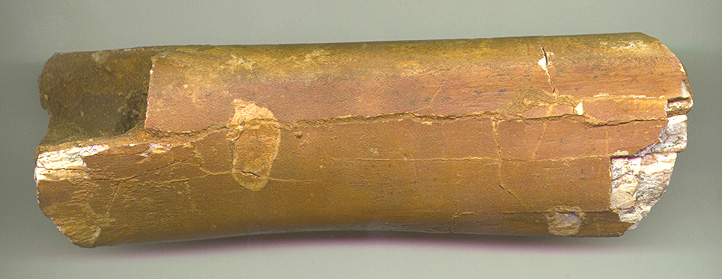 Char Arm 1b.JPG (98184 bytes)