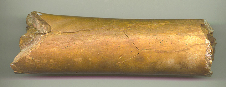 Char Arm 2b.JPG (92517 bytes)