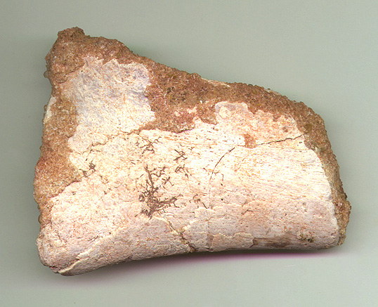 Char Blade 2b.JPG (138394 bytes)