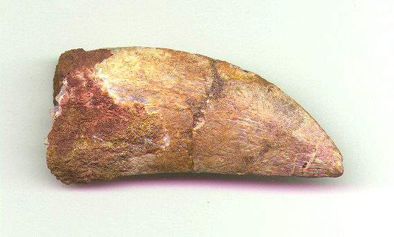Char E 1b.JPG (85989 bytes)