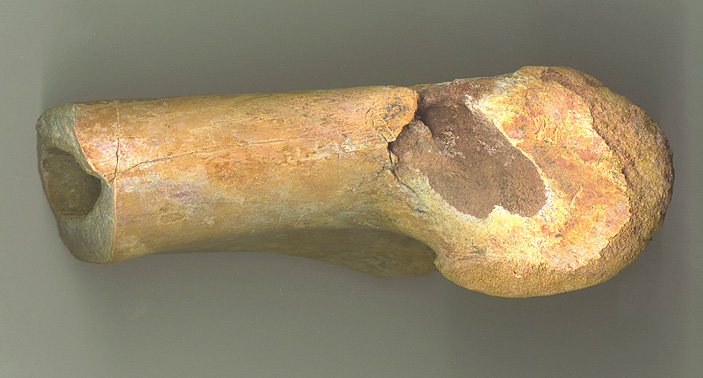 Char Foot 1b.JPG (110091 bytes)