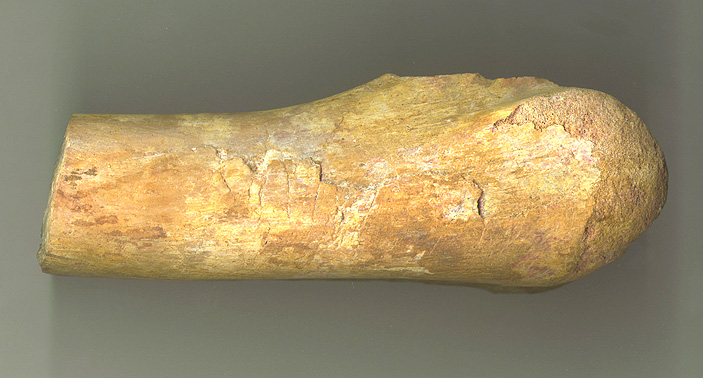 Char Foot 2b.JPG (121093 bytes)