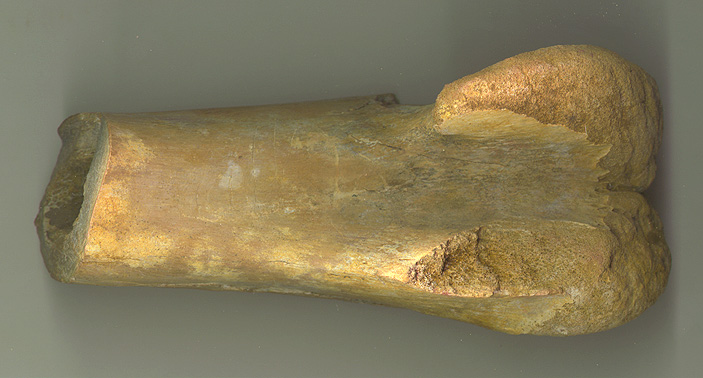 Char Foot 3b.JPG (99019 bytes)