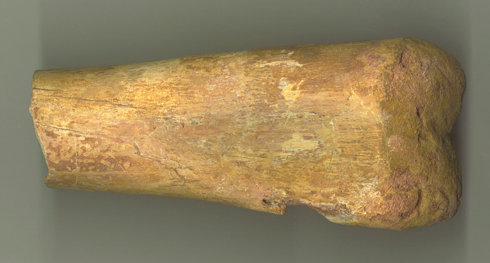 Char Foot 4b.JPG (121183 bytes)