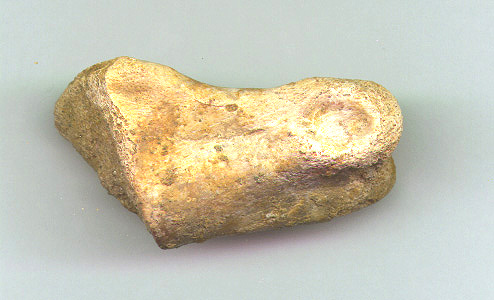 Char Toe 2b.JPG (61563 bytes)