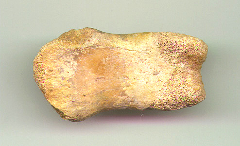 Char Toe 4b.JPG (67872 bytes)