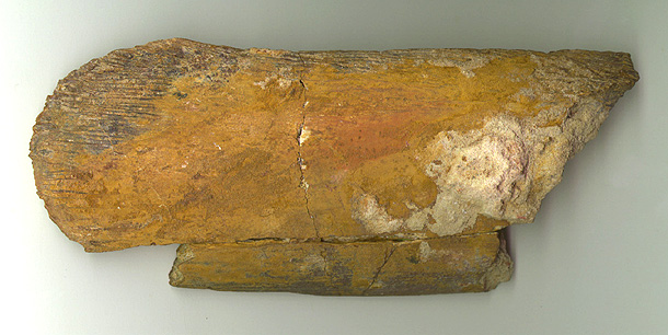 Char Vert 1b.JPG (99595 bytes)