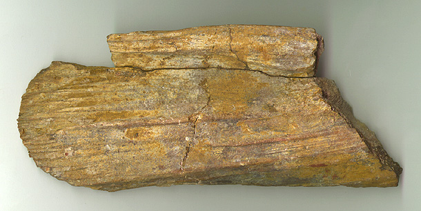 Char Vert 2b.JPG (109369 bytes)