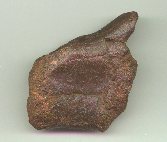 Char Vert B b.JPG (148542 bytes)