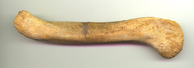 Delta Arm 1b.JPG (62100 bytes)