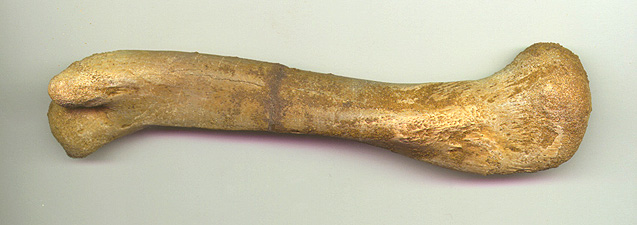 Delta Arm 2b.JPG (60384 bytes)