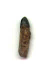 Gator Tooth with Complete Root.JPG (17164 bytes)