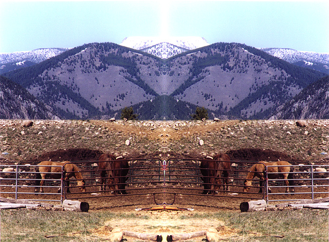 K Horses 4.JPG (275713 bytes)