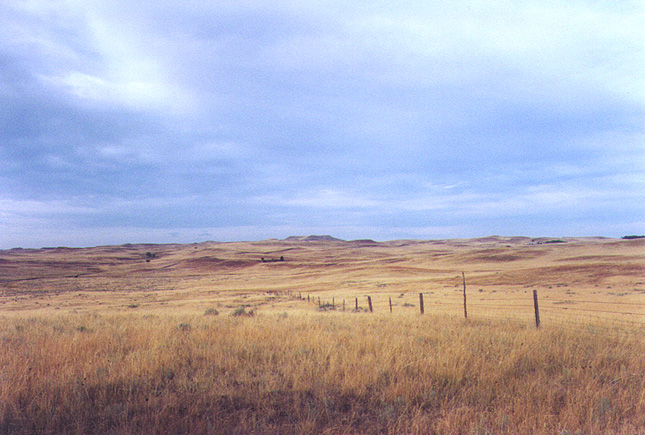 Montana Pic 18a.JPG (146657 bytes)