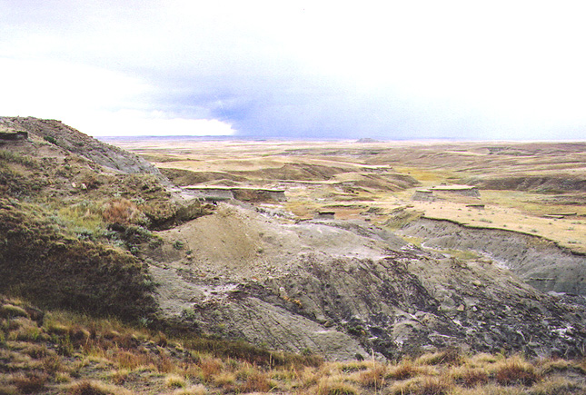 Montana Pic 20a.JPG (184507 bytes)