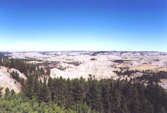 Montana Pic 3a.JPG (181878 bytes)