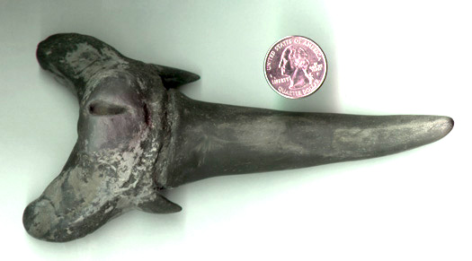 Santigereximus Augutis.JPG (39266 bytes)