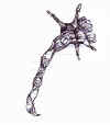 claw1.jpg (26719 bytes)