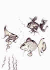 fish.jpg (99720 bytes)