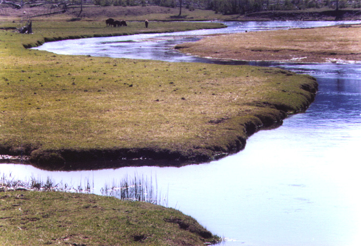 river.jpg (190465 bytes)