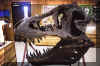 t-rex.jpg (168580 bytes)